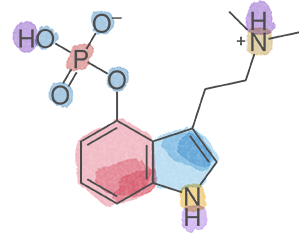 Psilocybin Compound